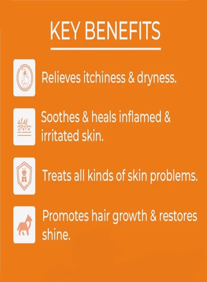 swacch شامبو سواتش مُصمم خصيصًا للماعز (1 لتر) برائحة الياسمين - Image 4